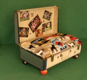 enter the pet bed contest