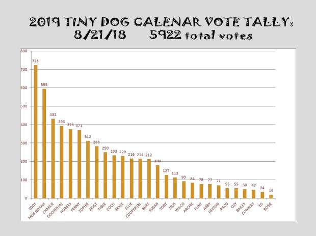 VOTE TALLY 8_21