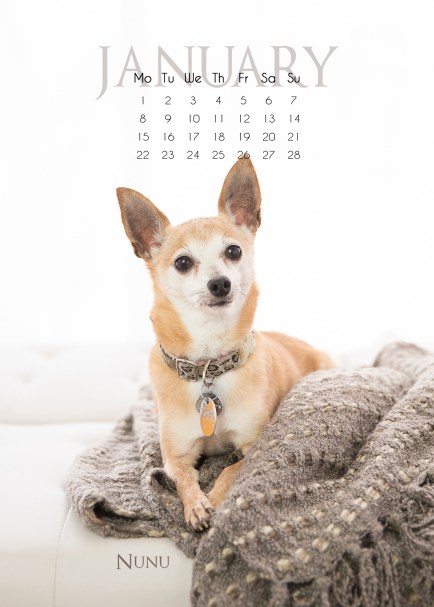 TDC_21_test_0038 v2 script-Recovered